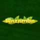 Wazamba