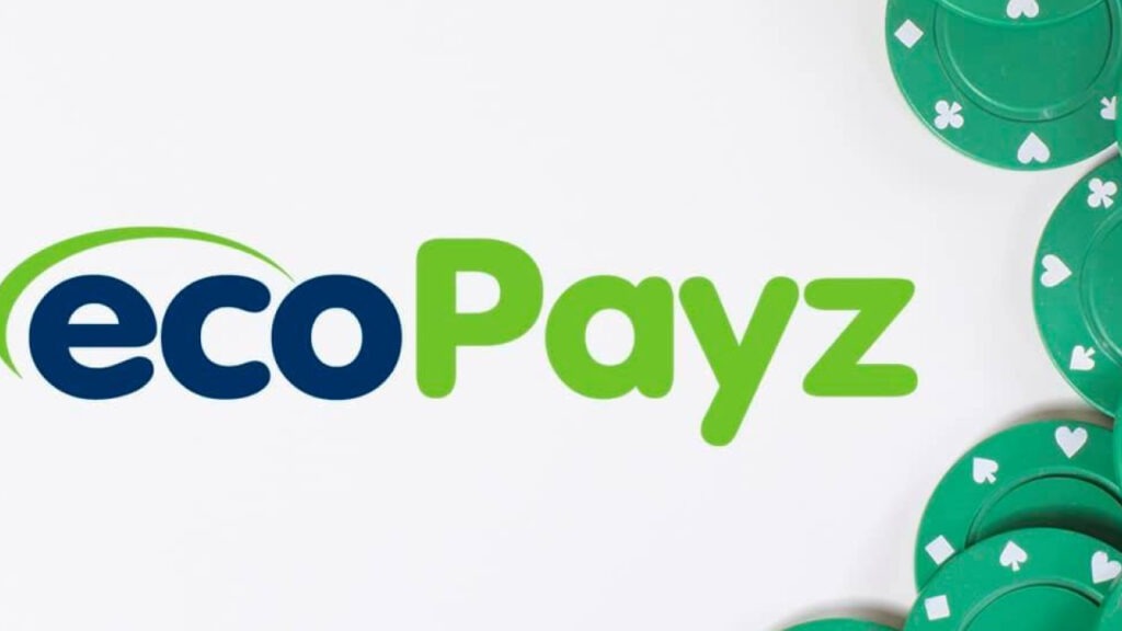 Informações Gerais da Ecopayz